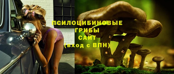 гидропоника Коряжма