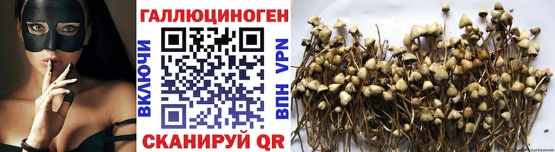 Галлюциногенные грибы Cubensis  закладка  МЕГА вход  Нытва 