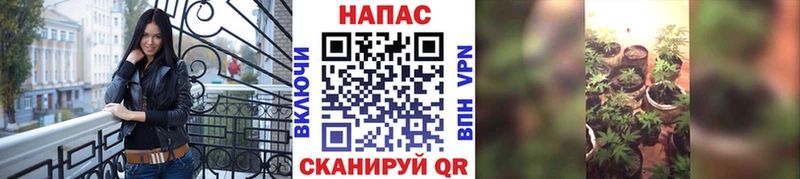 Каннабис Ganja купить цена Нытва